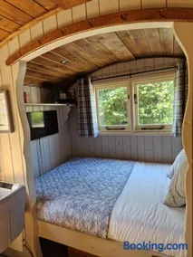 Elmdale Hut - Shepherds Hut - Image 5