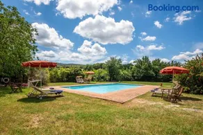 Tenuta Bichi Borghesi - Image 2