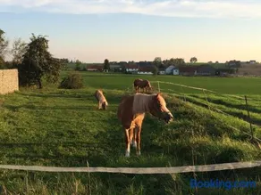 Ferienhof Löw - Image 4