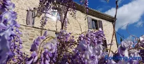 La maison WISTERIA - Image 5