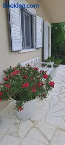 KUĆA U PRIRODI LI - Image 4