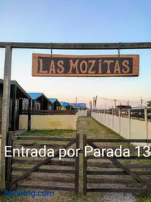 Las Mozitas II - Image 2