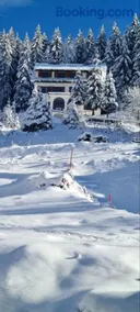 Villa Kostic Kopaonik - Image 2