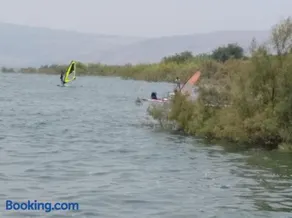 מול הכנרת Over looking the Sea of Galilee - Image 2