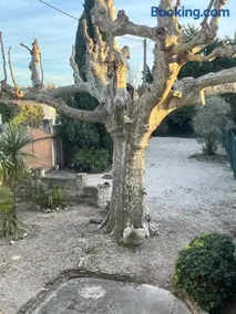 Le Mas du Platane - logement deux chambres en Provence - Image 2