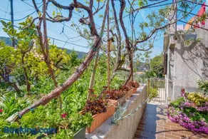 Apartman Corino - Image 3