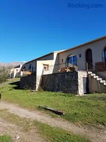 courtaline - Image 2