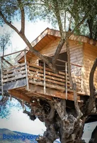 Cabane Dans les Arbres, Domaine de l Ogliastru - Image 1