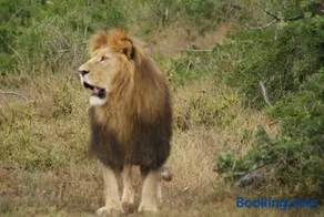 Beyond Cui Bono - Travel Addo Group - Image 2