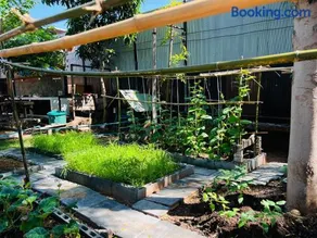 Markai Garden - Image 2