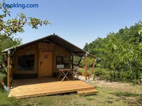 Vulture Glamping - Image 2