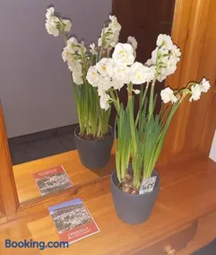 APARTAMENTO LOS NARCISOS - Image 5