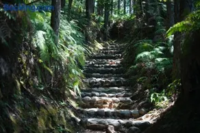 ikkyu rental vacation house - Image 1