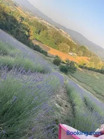 Glamping La Lavanda - Image 3