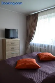 Šaulys1 - Image 2