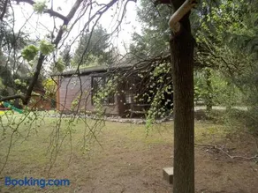 Charming chalet in Tellin with mountain view - Image 2