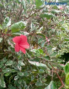 Cabaña El Otoño - Image 5