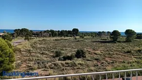 Estrella Del Mar - Image 5