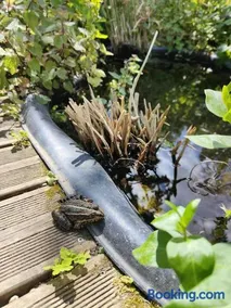 La Maison Bleue de Husseau Ancienne ferme semi-troglodytique 18e siècle - Image 5