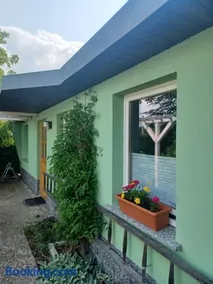 Waldblick - Image 3