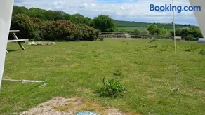 Willowbank farm rare breeds rescue - Image 2