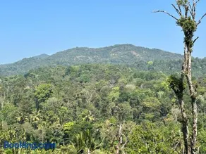 new shivalaya homestay - Image 1