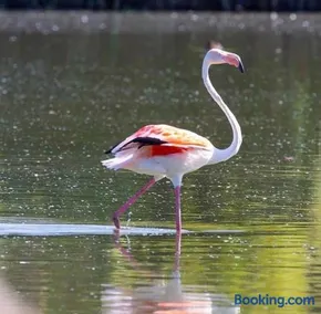 Il Lago del Mugello B&B - Image 3