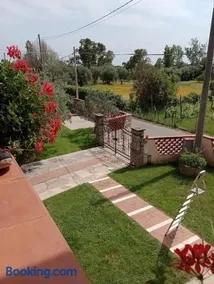 Colli di Luni - Image 2