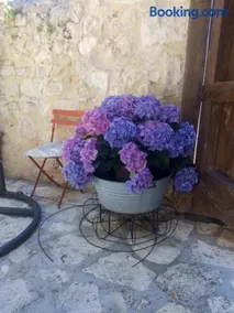 LA CASA NUEVA - Image 3