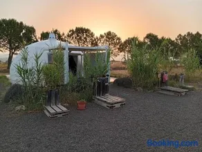 Troglo Domo Glamping Villena - Image 3
