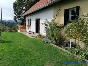 Rural house above the forest - Image 1