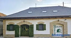 Bálint Borlak - Image 1