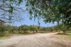 Angelina's Cute House - Image 5