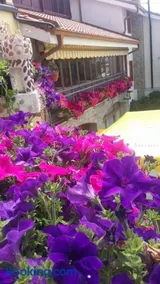 Agriturismo Al Nido Degli Aironi - Image 2
