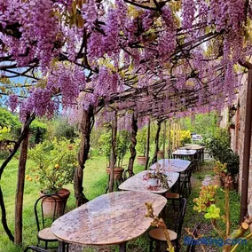 Agriturismo I Pitti - Image 1