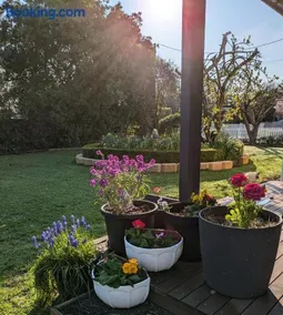 Bellamona Cottage Longford - Image 3