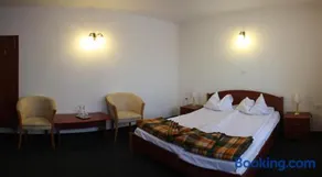 Hotel Paltinis - Image 4