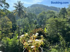 Ella Thenulya - Image 2