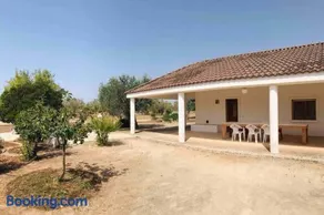 Villetta in campagna nel SALENTO - Image 3