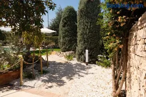 B&B Radici d'Olivo - Image 4