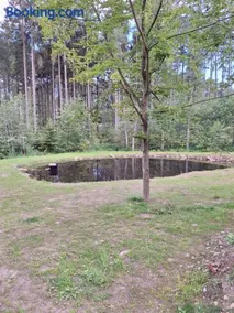 Arktik Lesní Mlýn - Image 1