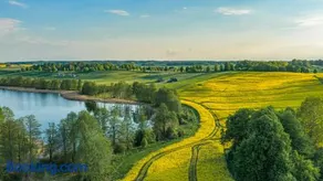 Oaza Żuraw - Image 2