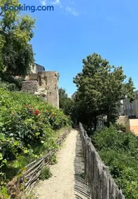 N 99 - Vieux Mans - Image 3