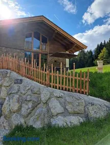 Almchalet Weberhof - Image 1