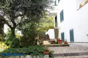 B&B Privileged - Image 3