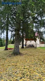Cabana Duma la munte cu ciubar - Image 2