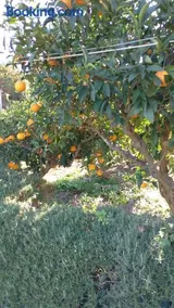 Jenny`s House - Image 2