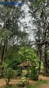 Dian Rana Bungalow Lampuuk - Image 2