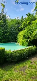 The Secret Garden - Image 3
