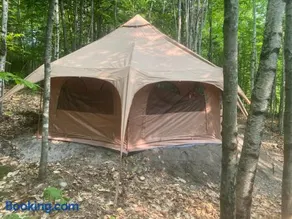 Forest Yurt - Image 2